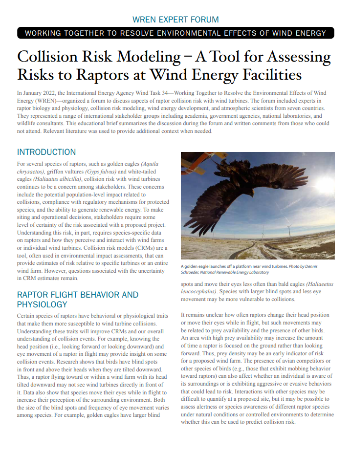 Raptor Collision Risk Short Science Summary