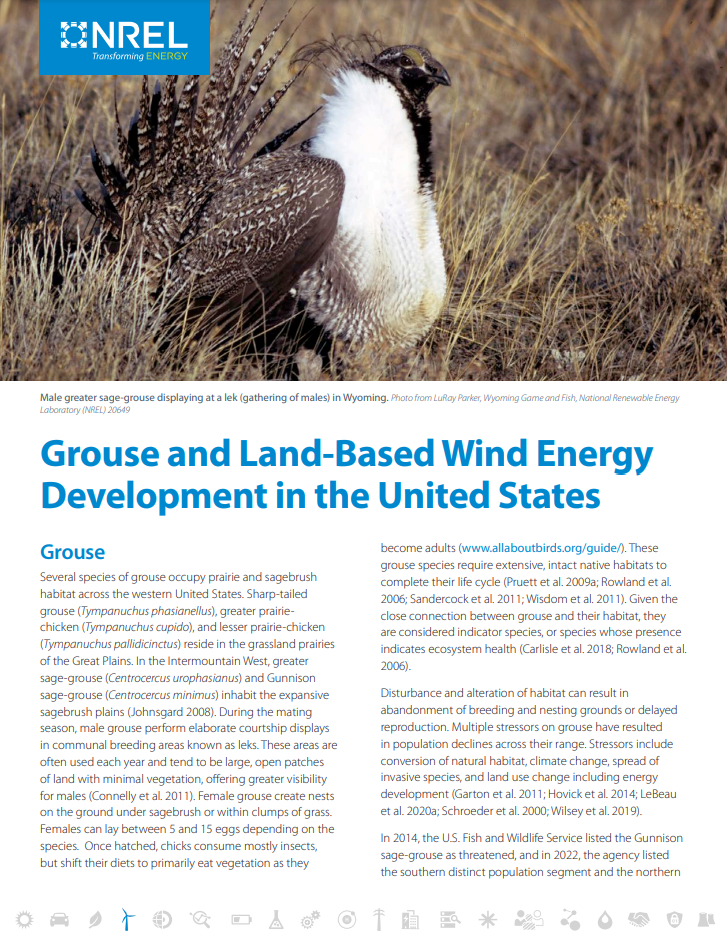 Grouse and Land-Based Wind Energy Development in the United States