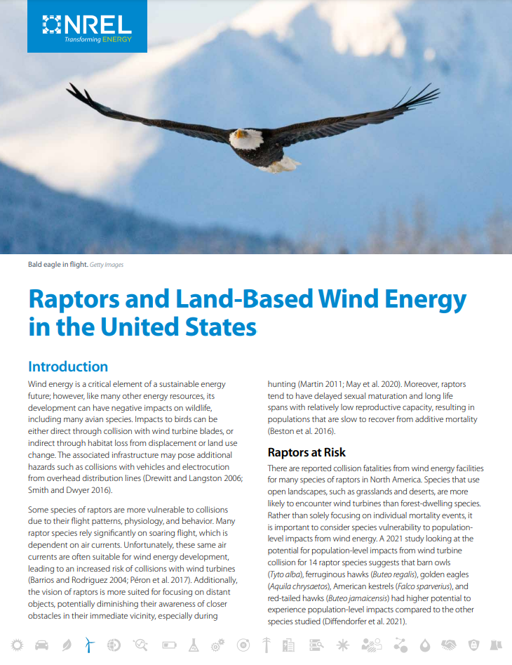 Raptors and Land-Based Wind Energy in the United States