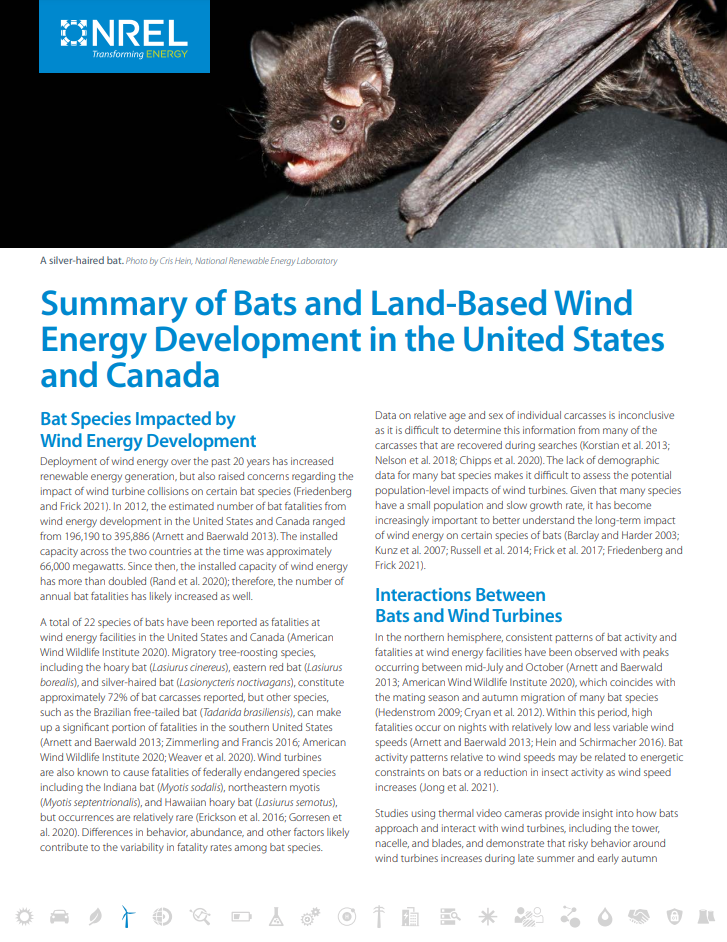 Summary of Bats and Land-Based Wind Energy Development in the United States and Canada