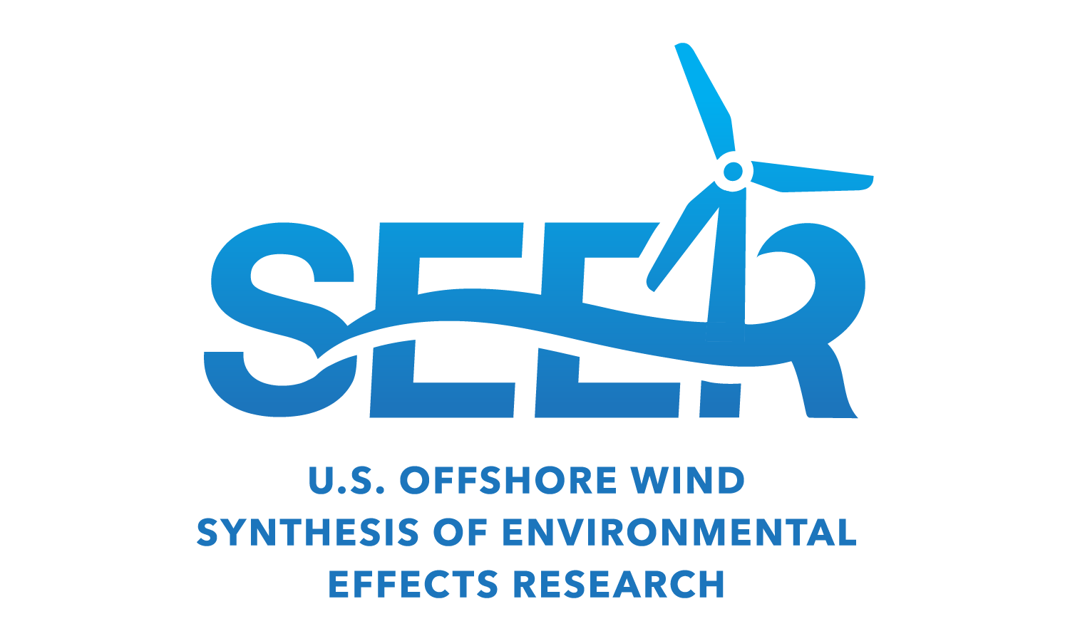 SEER Logo