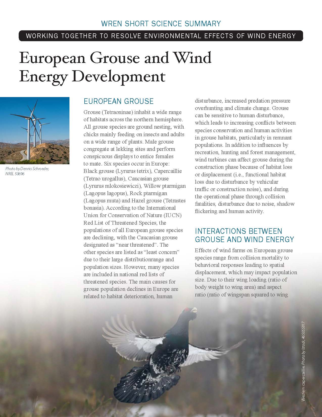 European Grouse Short Science Summary