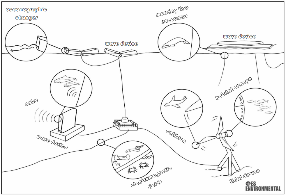 MRE Coloring Book