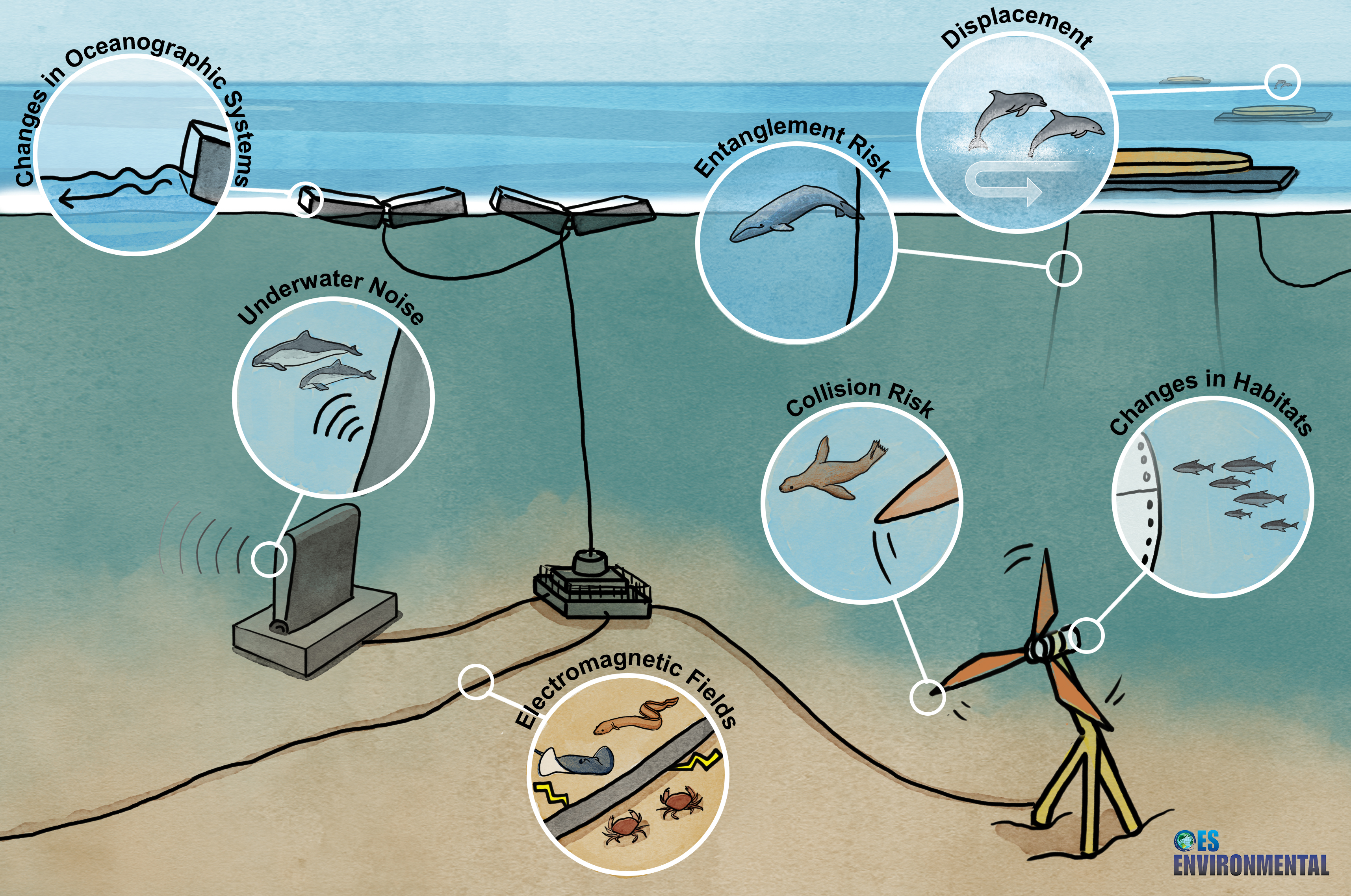 OES-Environmental Stressors and Receptors