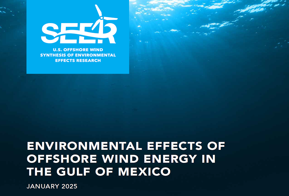 SEER Gulf of Mexico Research Briefs