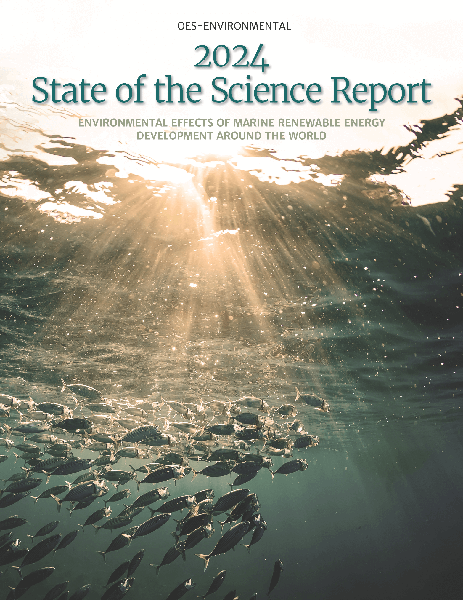 OES-Environmental 2024 State of the Science Report: Environmental Effects of Marine Renewable Energy Development Around the World