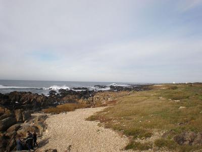 Coastline of Viana do Castelo