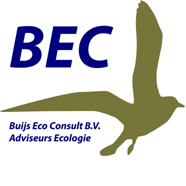 The image displays the letters BEC and a green seagull