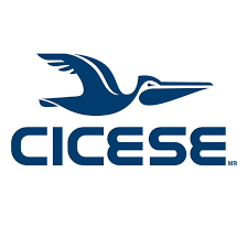 Bird flying with CICESE underneath