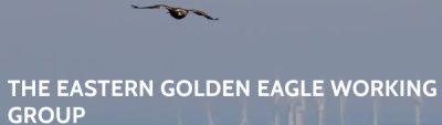 EGEWG Logo