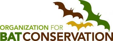 Organization for Bat Conservation logo