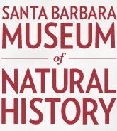 SBNHS logo