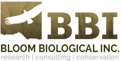 BBI Logo