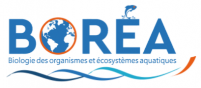 BOREA Logo