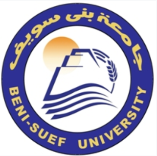 BSU Logo