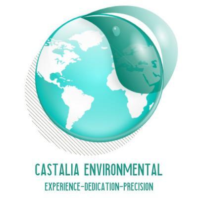 Castalia Environmental Logo