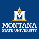 Montana State University logo