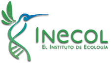 INECOL logo