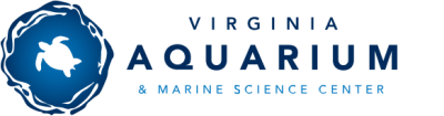 Virginia Aquarium and Marine Science Center Logo