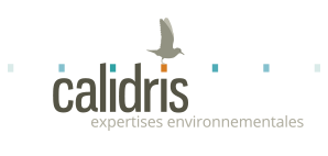 Calidris logo