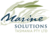 Marine Solutions logo