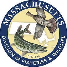 Massachusetts Division of Fisheries & Wildlife Logo