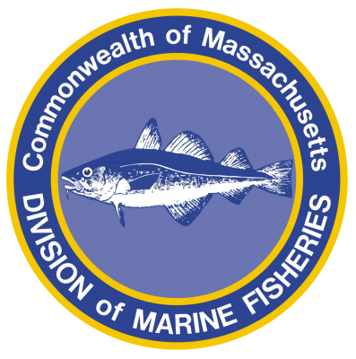 Massachusetts Division of Marine Fisheries Logo