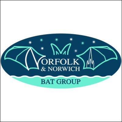 Norfolk and Norwich Bat Group with bat wings