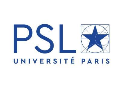 PSL Logo