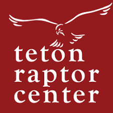 Outline of a raptor with "teton raptor center" written below