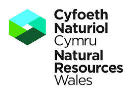 Natural Resources Wales logo